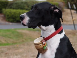 Linna Callaham's assistant