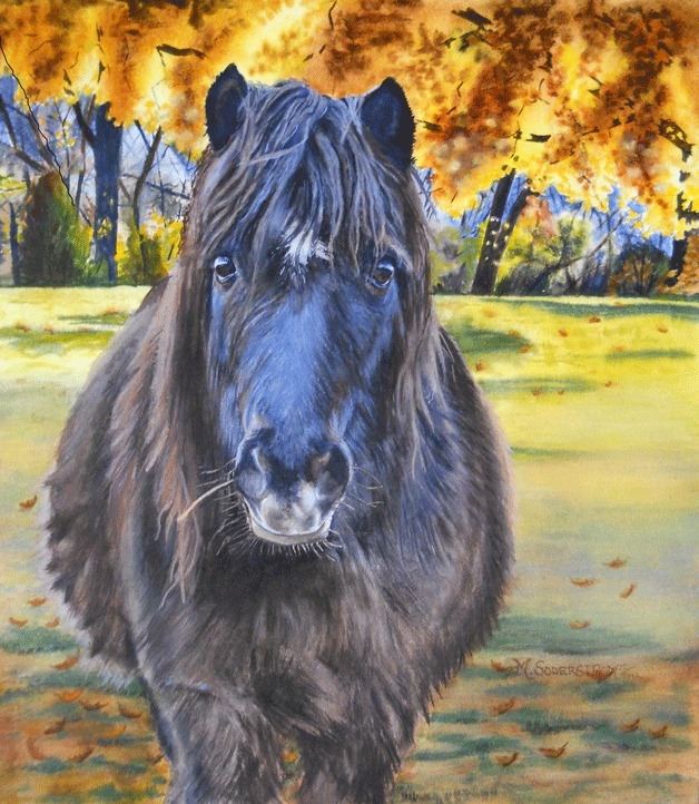 'Skeeter' by Michele Soderstrom.