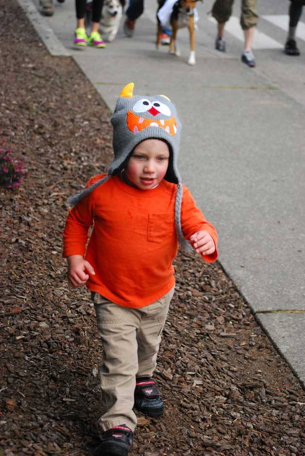 A young walker beats feet during last year's MS Walk on Bainbridge Island.
