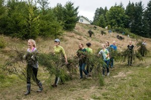 Close to Home | By Joel Sackett