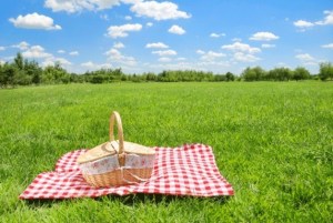 Bainbridge Island Land Trust hosts community picnic at Hilltop