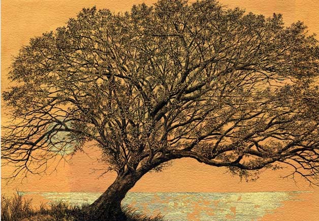 'Bel Canto' by Elizabeth Reed Smith.