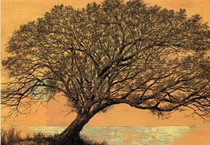 'Bel Canto' by Elizabeth Reed Smith.