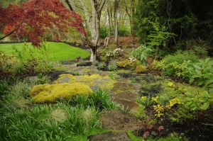 A Bainbridge delight called  “The Watchful Care Garden” is one of the attractions on this year’s Bainbridge in Bloom.