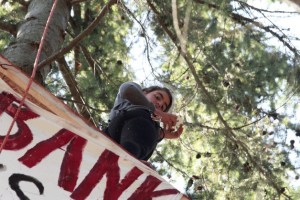 Chiara D’Angelo uses her cell phone while continuing her protest in an evergreen tree at the Visconsi shopping center site Tuesday afternoon.