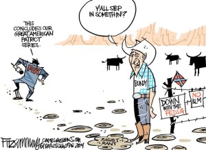 Today's cartoon is by David Fitzsimmons