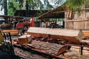 Close to Home | By Joel Sackett