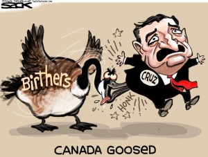 Today's cartoon is by Steve Sack