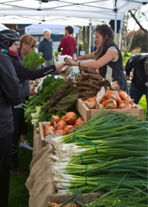 Fresh onions at the Bainbridge Island Farmers Market.