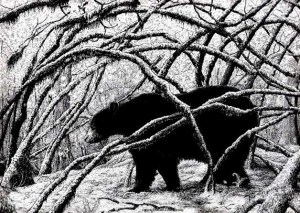 'In the Vine Maples' by Matt Schmidt (pen and ink on paper