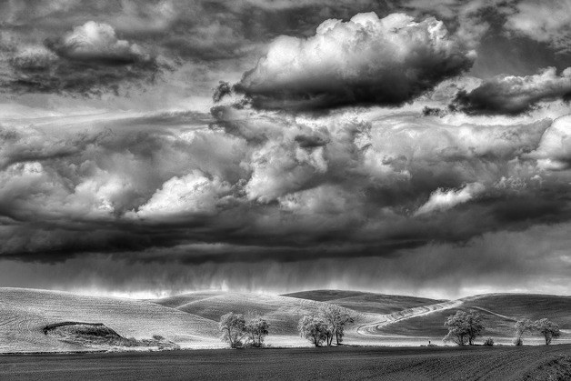 Photographer Kay Walsh is one of the 62 local artists in this year's Winter Studio Tour.