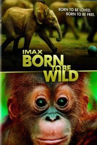 Family movie matinee features 'Born to be Wild'