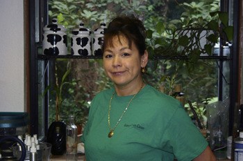 Dennis Anstine/Staff Photo Jill Paull has started small with her organic cleaning service