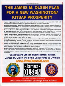 A political flier distributed last week by James Olsen's campaign for the 23rd District has been found to violate state law because of the use of the state of Washington seal.