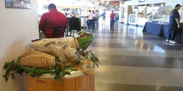 The Bainbridge Review's art frog sculpture on display at the Seattle Ferry Terminal.