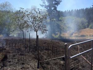 A massive grass fire on Fletcher Bay Road last Friday was caused by a spark from a lawnmower.
