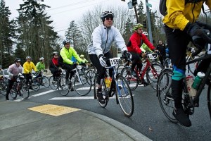 Cyclists in the 2014 Chilly Hilly conquer their first hill after departing the Bainbridge ferry and reaching Winslow Way.