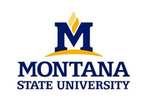 BI students get kudos at MSU