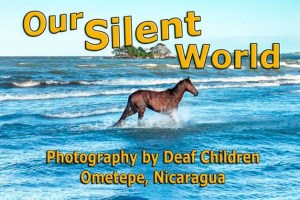 Art walk at the library features photos from Ometepe