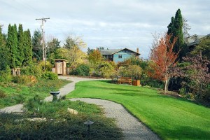 Red Pine Park was donated to the Bainbridge parks district late last week. A community garden and passive park