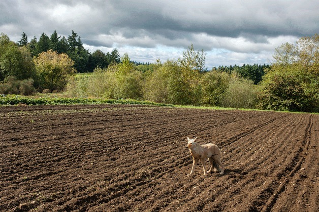 Close to Home | By Joel Sackett