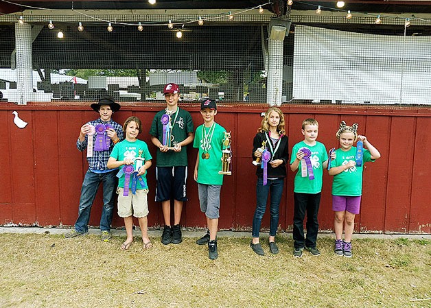 Bainbridge Island 4H’s winners