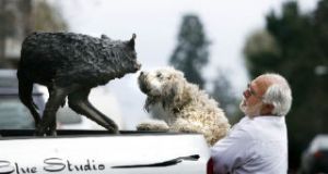 Bronze Sculpture artist Jeff Oens stopped traffic while showing a pack of wolves to a client along Winslow Way last week. Island business owner Richard Nelson and his dog Duffy took a careful closer look at the cast creatures.