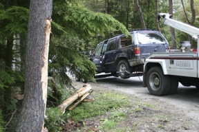 An SUV is towed from the driveway of Bainbridge Gardens after a rollover accident on Miller Road Wednesday. The vehicle bowled over one Japanese red pine tree and stripped bark off another.