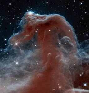 The Horse Head Nebula