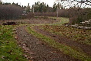 Bainbridge park officials are assessing community input for the eventual development of the Sakai park property.