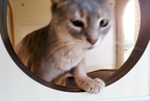 Zoe