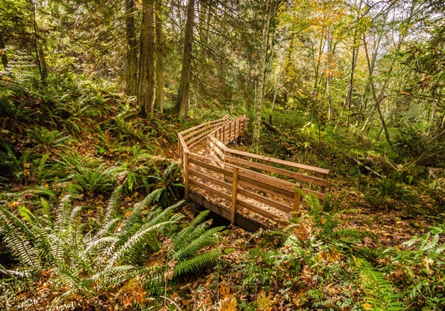 The Veterane trail is one of two new pathways that opened at Gazzam Lake Nature Preserve this past weekend.