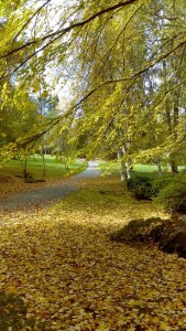 Bloedel Reserve was voted as a finalist in the Best Places to Picnic on Bainbridge Island.
