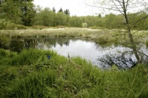 A scenic view of the Meigs Farm property