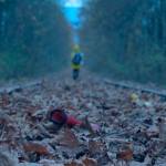 SCREEN SCENE: Celluloid Bainbridge Film Festival returns with a sundry of all things cinematic