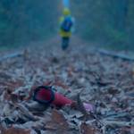 SCREEN SCENE: Celluloid Bainbridge Film Festival returns with a sundry of all things cinematic