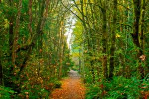 Parks Foundation hosts trail opening celebration