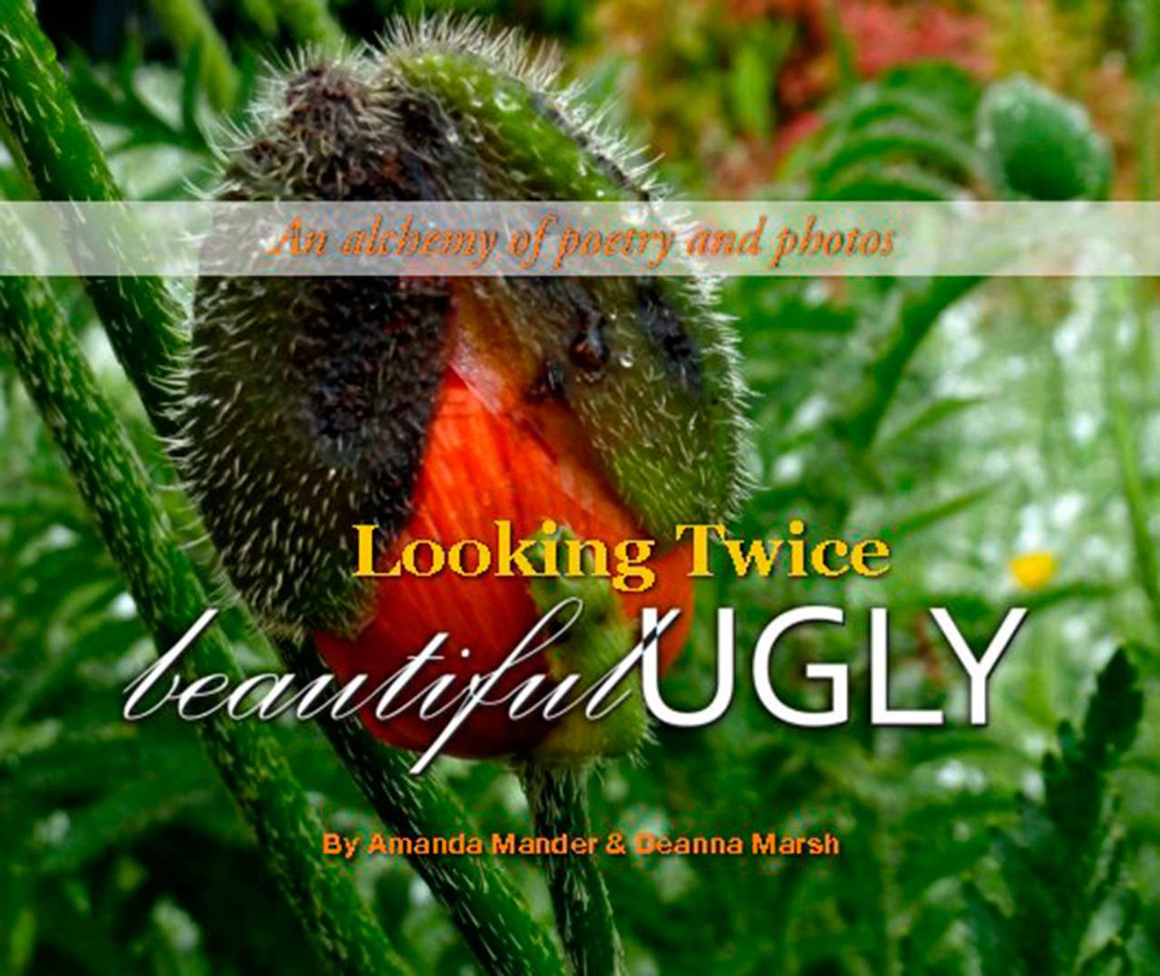 Image courtesy of Eagle Harbor Book Company                                Amanda Mander and Deanna Marsh will stop by Eagle Harbor Book Company at 1 p.m. Sunday, Nov. 6, to discuss their book &ldquo;Looking Twice: Beautiful Ugly.&rdquo;