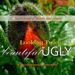 Image courtesy of Eagle Harbor Book Company                                Amanda Mander and Deanna Marsh will stop by Eagle Harbor Book Company at 1 p.m. Sunday, Nov. 6, to discuss their book &ldquo;Looking Twice: Beautiful Ugly.&rdquo;