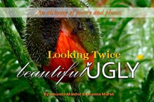 Two author events at Eagle Harbor Sunday