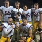 Islanders help Irish win title