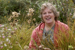 On Fridays Ann Lovejoy tends the library garden with volunteers.