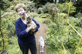 Artist Fay Krokower walks the garden path with two of her six devoted companions. Krokower’s garden began as a swath of lawn flanked by forest; 14 years later