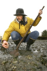Port Madison resident Gary Quitslund mines the muck at Rolling Bay