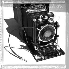 Photographer Dinah Satterwhite chose to focus her camera on antique instruments like typewriters and cameras as part of her new exhibit. Satterwhite used film and digital cameras to take the black and white photographs.