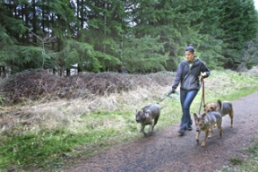 Julie Miller takes her dogs for a daily walk along Shepard Way trail that borders the north side of the 9-acre Moritani property.