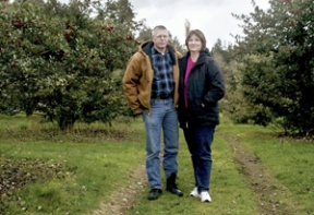 Gordy and Chris Wilson stand in their grove of holly trees. They live on land that has been in Gordy Wilson’s family on Bainbridge Island since the late 1800s. He makes ends meet with his job at the ferry maintenance yard at Eagle Harbor.