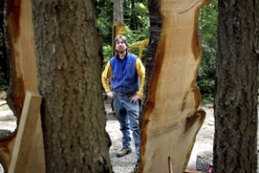 David Kotz surveys two slabs of an 80-year-old cherry tree at his Coyote Farm Lane home.