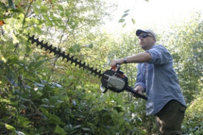 Park district trails supervisor Erik Sherwin beats back vines along a community pathway off poitn White Drive Tuesday morning. The trail is the first leg on the challenging shore-to-shore hike that begins at 10 a.m. Saturday next to Schel-Chelb Estuary.