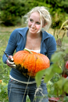 Devin Groman ventures into the pumpkin patch behind Bay Hay and Feed to retrieve a hefty orange fruit for Sunday’s fund-raiser.